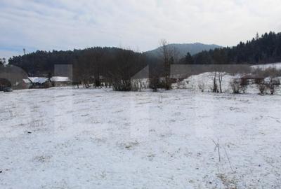 Teren de 4655 mp, în Central