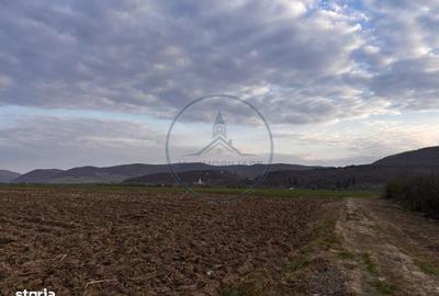 Spațiu comercial, în Șieu - 2