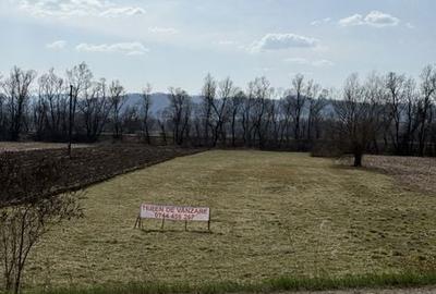 Teren de 6000 mp, în Ileanda - 1