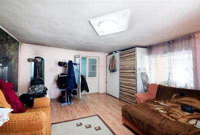 Casă individuală cu 2 camere cu Teren 1600 Mp în Cetariu - 31
