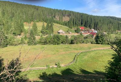 Teren intravilan in satul Poiana Horea 7700mp - 3