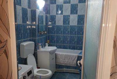 Apartament cu 2 camere semidecomandat, mobilat în Viziru 1 - 8