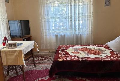 Casă cu 2 camere cu Teren 1400 Mp în Moțca - 6