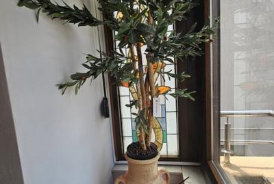 VATRA LUMINOASA-Duplex unicat, 170 mp, mobilier si amenajare FENG SHUI, liber! - 33