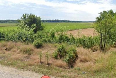 Teren de 1500 mp, în Valea Dragului - 4