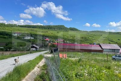 Teren de 1917 mp, în Central - 3