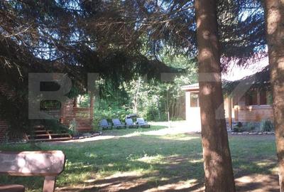 Cabana  cu teren 1364mp, zona Bucin - 19