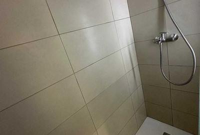 Apartament cu 3 camere în Pantelimon - 4
