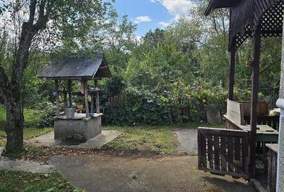 Casă cu Teren 4012 Mp în Bogdănești (Tomșani) - 3