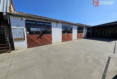 Casă individuală cu 5 camere cu Teren 937 Mp în Bogdăneștilor - 53