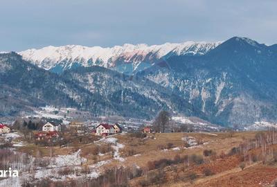 Teren de 4500 mp, în Central - 16