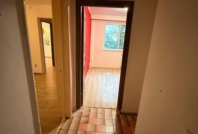 Tei, Pasaj Doamna Ghica, disponibil, ca in poze, negociabil - 9