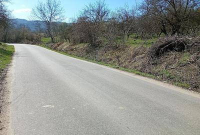Teren de 25500 mp, în Bezdead - 2