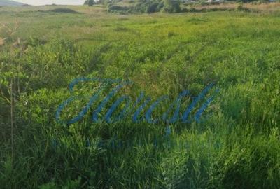 Teren intavilan 600mp - Popesti, Cluj! - 3