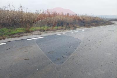 Teren intravilan de vanzare - Nicolae Balcescu, jud. Bacau - 3