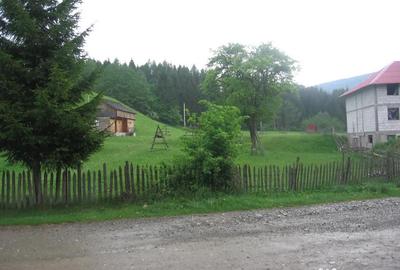 Teren de 4080 mp, în Valea Doftanei - 8