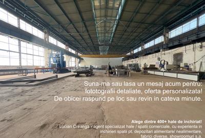 Hale cu pod rulant, de la 100mp la 2000mp, Carrefour Felicia