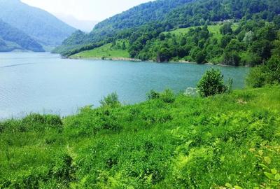 Teren de 73000 mp, în Siriu - 7