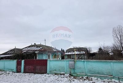 De vanzare casa taranesca Balusesti jud. Neamt - 14