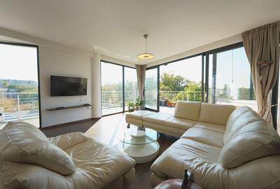 Panoramic View to Herastrau Lake, 5 rooms apartment - 14