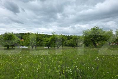 Teren intravilan, 34 ari intravilan, zona Unirea - 16