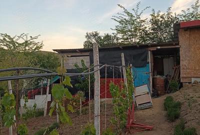 Casă cu 3 camere cu Teren 1200 Mp în Moscu - 2