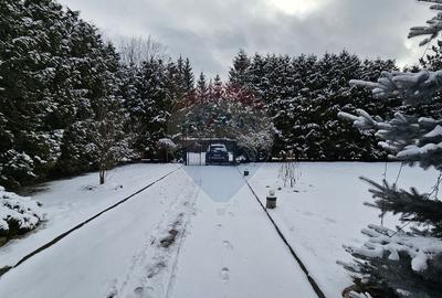 Vilă de lux cu 4 camere de vânzare în Câmpulung Moldovenesc, Suceava - 49