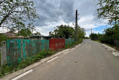 Casa + teren 4430 mp, vie si pomi fructiferi, 22 km de Tecuci - 1