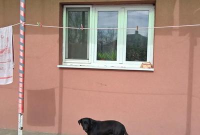 Casă cu 4 camere în Tămășeu - 1