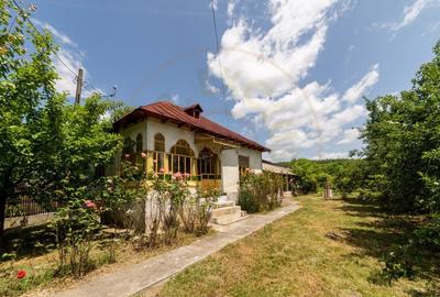 Casa batraneasca – Glambocelu, com. Bogati, Arges! - 2