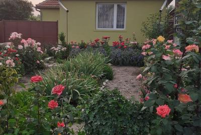 Casă cu 2 camere în Andrei Șaguna - 1