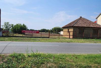 Teren de 7610 mp, în Curtici - 8