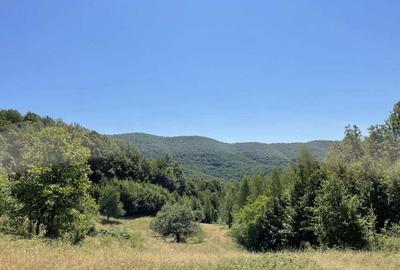 Teren Extravilan in mijlocul naturii. - 5