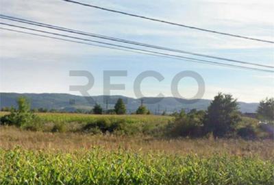 Teren de 7560 mp, în Topa de Criș - 2