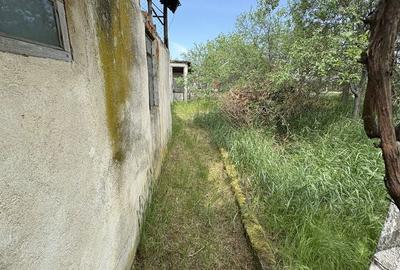 Casă cu 4 camere în Variașu Mare - 7
