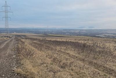 Teren cristur hunedoara parcele 500, 1000, 1500 mp - 6