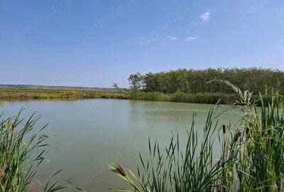 Casă cu 6 camere în Acâș - 2
