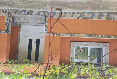 Casa de vinzare - 3
