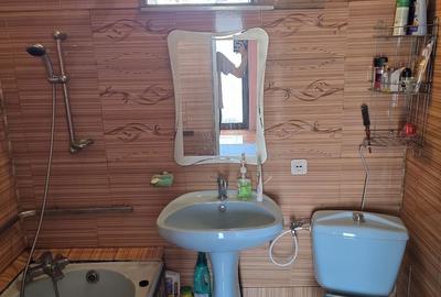 Casă cu 4 camere cu Teren 1395 Mp în Sântuhalm - 4