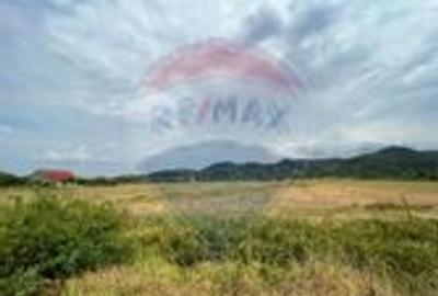 Teren de vanzare 990mp in Barzava, jude?ul Arad - 1