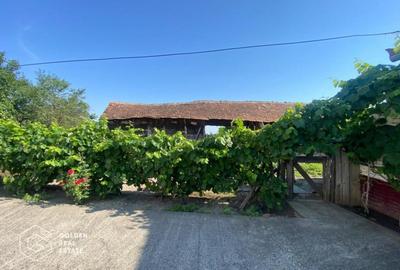 Casa cu 4405 mp teren, in Localitatea Cerna, Comuna Lieblie - 7