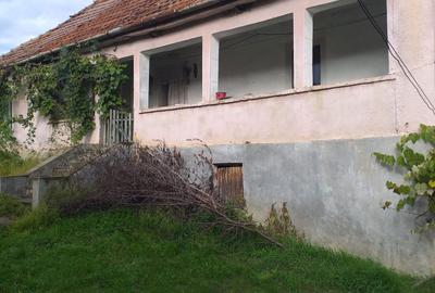 Casă cu 2 camere în Tibru - 10