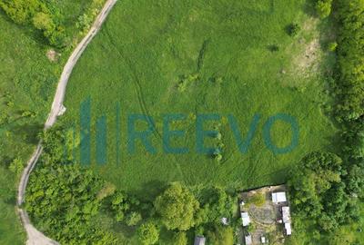 Teren de vanzare, Com. Racova, Str. Bradului, Bacau - 2