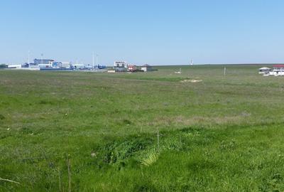 Teren agricol extravilan în Exterior Vest