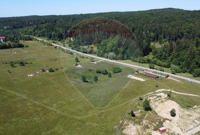 Teren agricol intravilan de 5561 mp, în Păltinoasa - 18