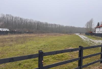 Teren Construcții intravilan de 500 mp, în Ciolpani - 6