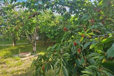 Casă individuală cu 4 camere cu Teren 2400 Mp în Osoi (Comarna) - 17