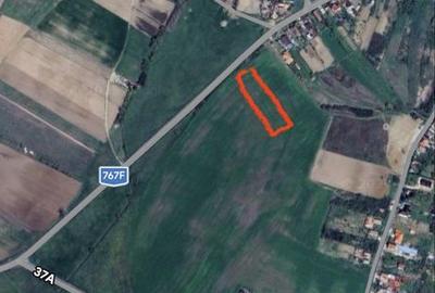 Spațiu comercial, în Cetariu - 6