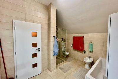 Casa 4 camere Visan - 17