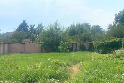 Casa de vanzare cu suprafete generoase-Dumbravita Casa de vanzare cu suprafete generoase-Dumbravita - 7